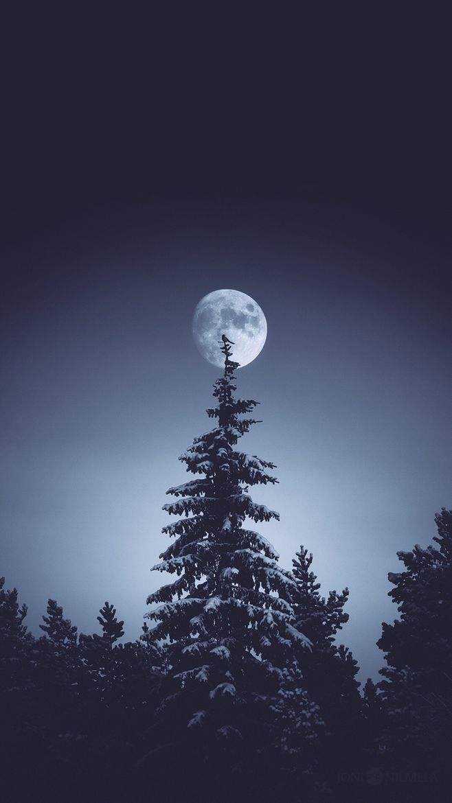 有没有一张图片弯月下的云上站着一个男孩?