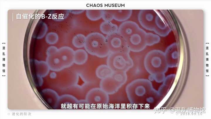 人类为什么能够在进化中胜出 混乱博物馆的回答 知乎