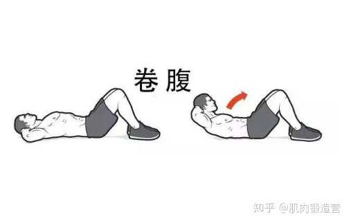 第3个运动:仰卧起坐