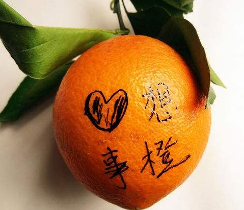 橙子的"橙"与程序员的"程"同音,取谐音之妙,橙子便成了最符合节日气氛