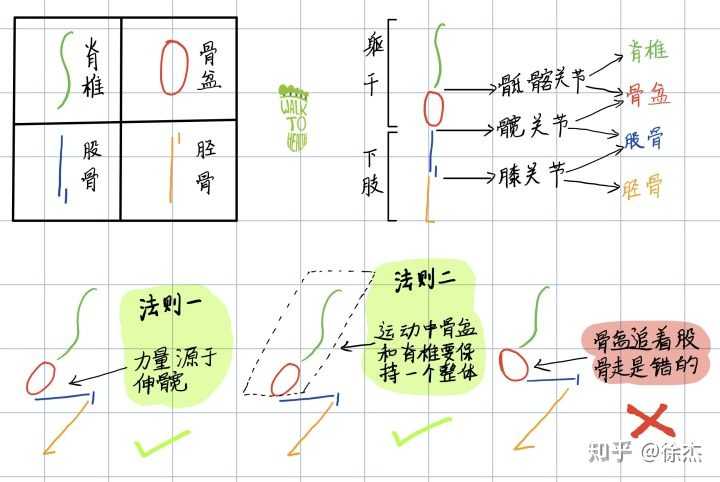 如何锻炼腹肌和腰肌 又不伤腰椎 知乎