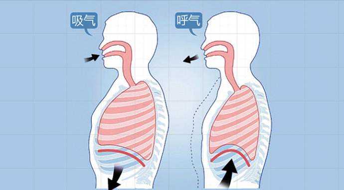胸式呼吸和腹式呼吸的区别 知乎
