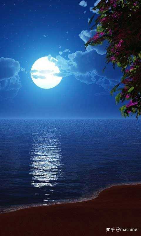 挑一个有月亮的夜晚约她散步 凝视她的双眼 说 今夜月色真美