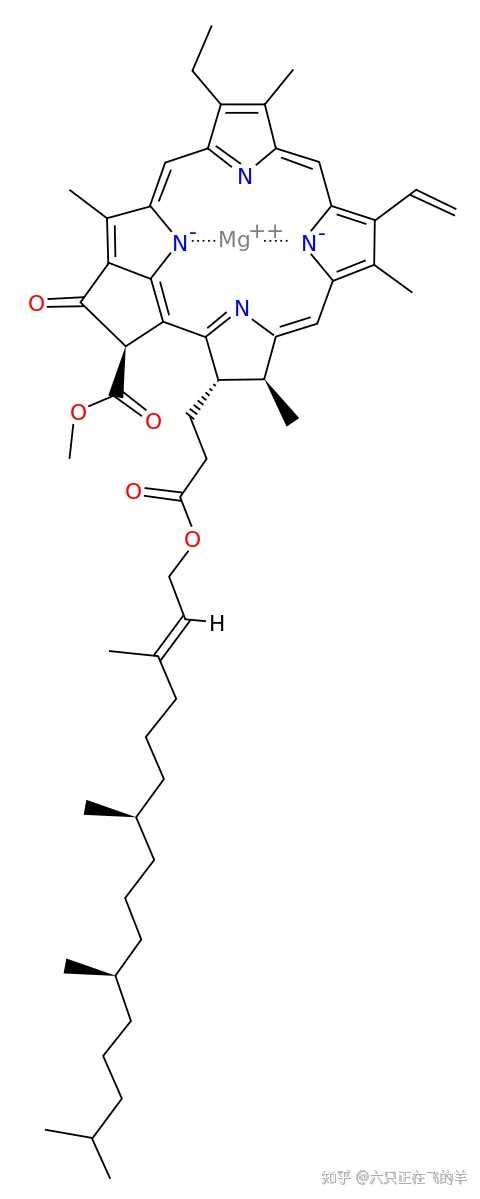 高中生物色素的提取与分离中为什么色素溶解度越高跑的越快?