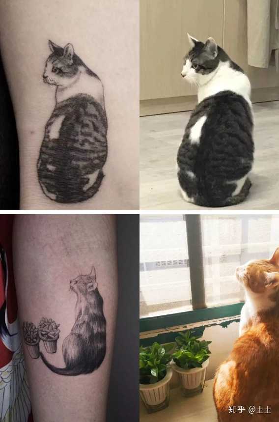 猫咪背影纹身图片