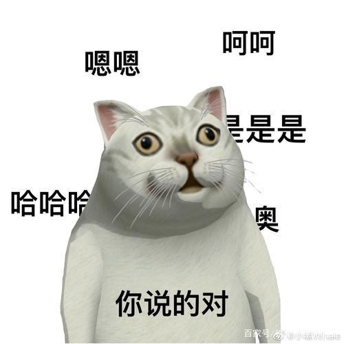 mur猫流口水表情包-千图网