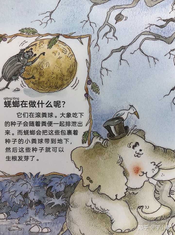 哪些绘本能够帮助孩子了解动物 知乎 哪些绘本能够帮助孩子了解动物 知乎