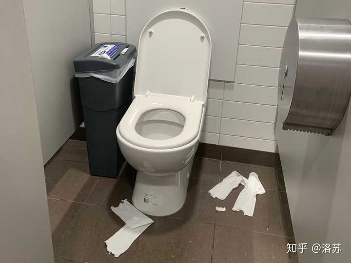 如何看待在公共厕所用马桶时踩在上面