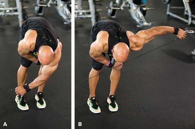 健身需要练肩部吗?