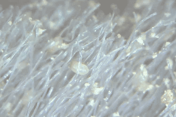 什么牌子的除螨喷雾或者除螨包好用啊 想买一些给弟弟用 安全一点比较好 知乎