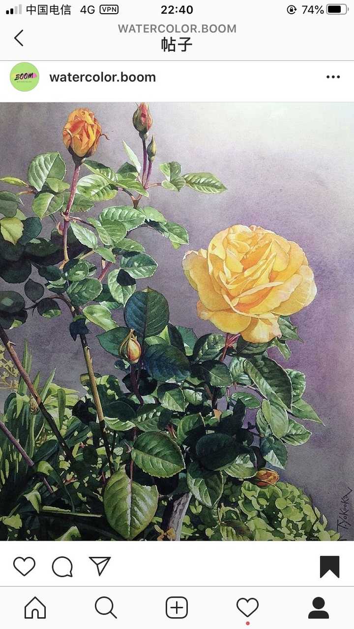喜欢植物是一种怎样的体验 知乎 喜欢植物是一种怎样的体验 知乎