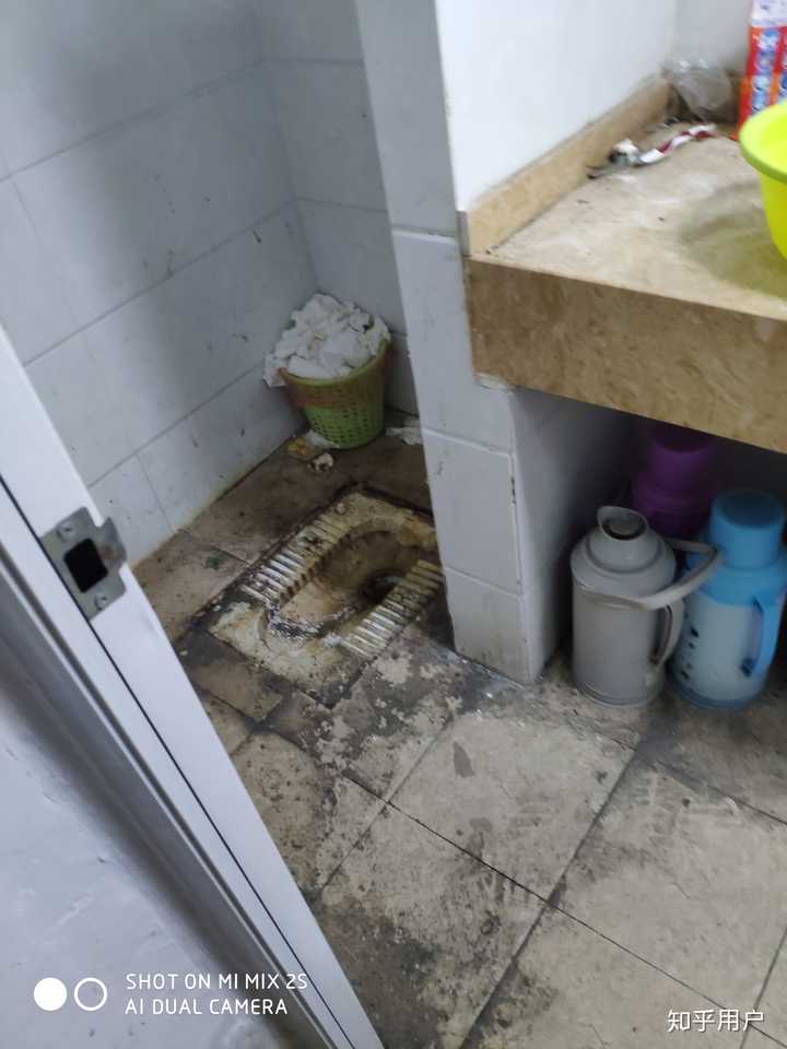 生活在一个很乱很脏的宿舍是什么体验?