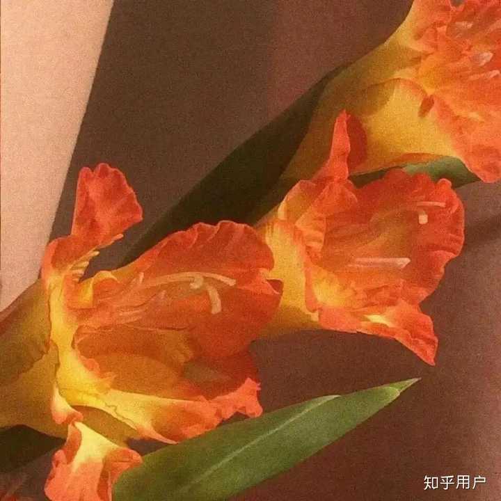 有哪些微甜的情话?