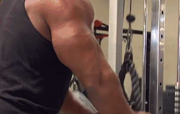 有氧运动和无氧运动有哪些区别 知乎