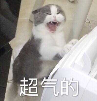 如何看待家长老师说孩子成绩不好天天玩手机别