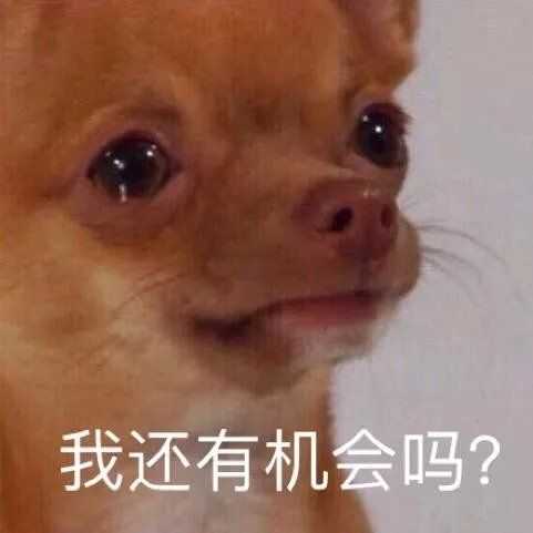 你有什么清奇有趣的表情包?