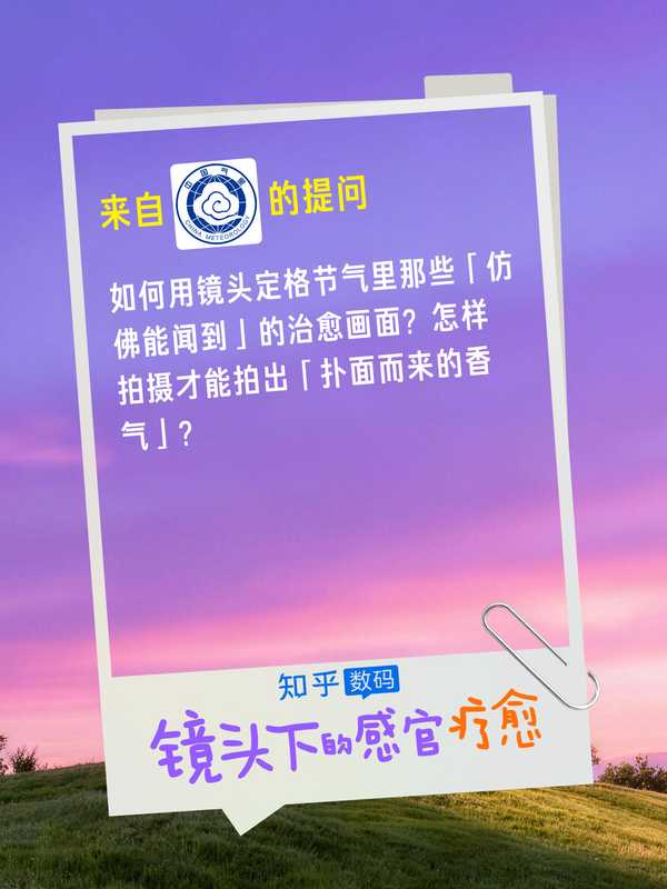 如何用镜头定格节气里那些「仿佛能闻到」的治愈画面？怎样拍摄才能拍出「扑面而来的香气」？