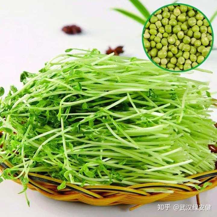 土豆发芽后刮掉芽还能吃吗 积分兑付宝的回答 知乎 土豆发芽后刮掉芽还能吃吗 积分兑付宝的回答 知乎