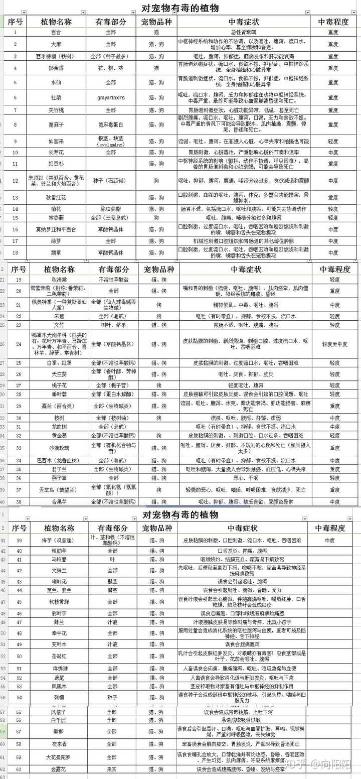 如何让猫跟花瓶共存 知乎