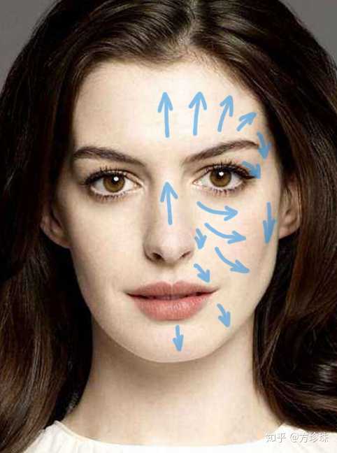 面部的毛孔生长方向