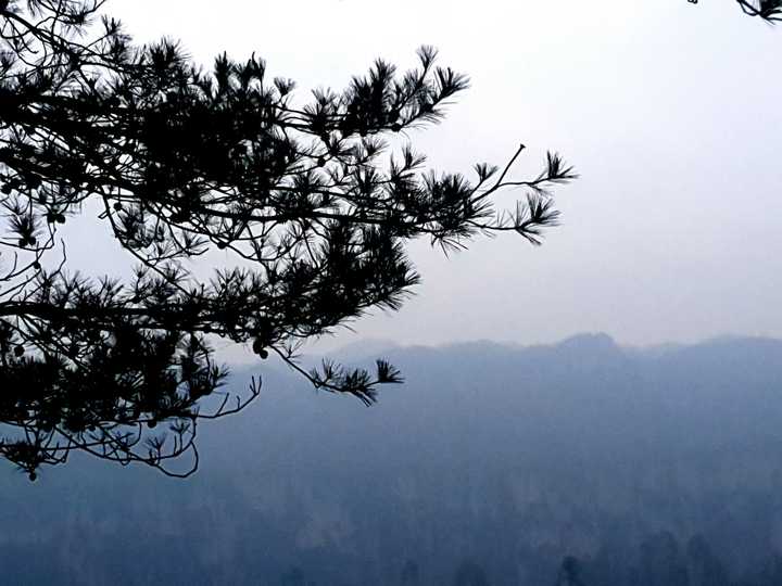 为什么三星手机评论严重两边倒?