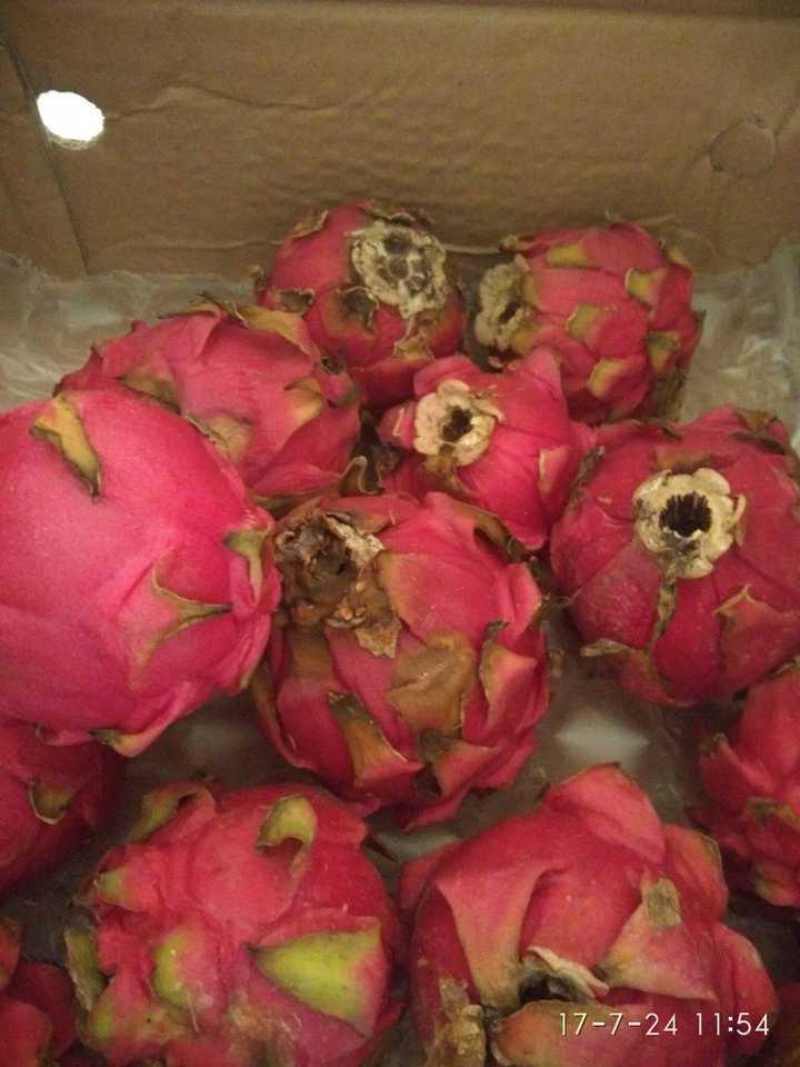 刚刚收到的火龙果(*д)