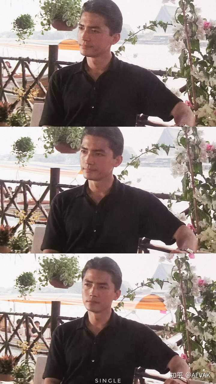 严宽 陈坤 尊龙 谁更好看?