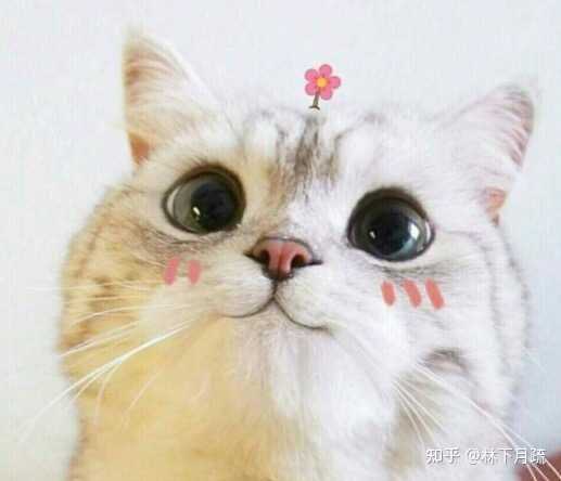 有没有好看又好笑的穿书文推荐啊 知乎 有没有好看又好笑的穿书文推荐啊 知乎