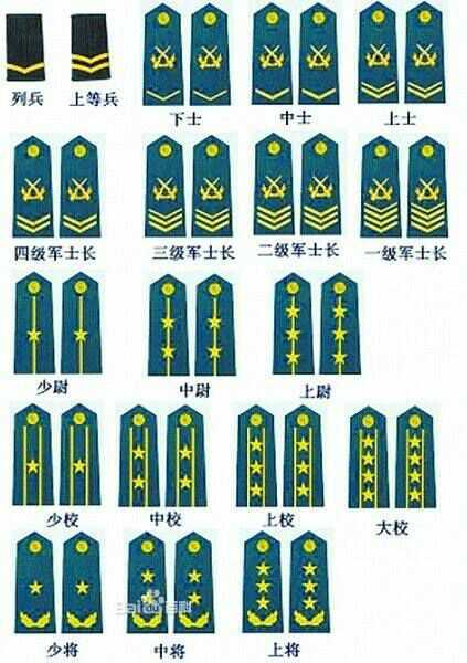 第一类里只有五种:军衔,警衔,关衔,外交衔,消防救援衔