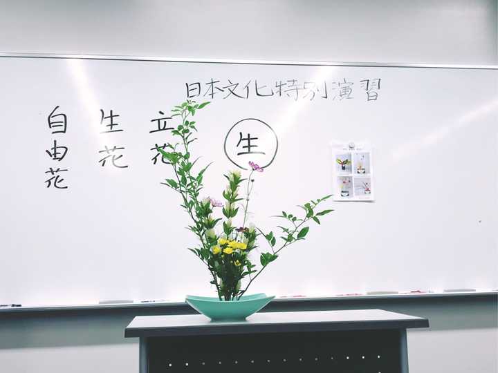 日式花道有哪些主要流派 各个流派有什么异同 知乎 日式花道有哪些主要流派 各个流派有什么异同 知乎