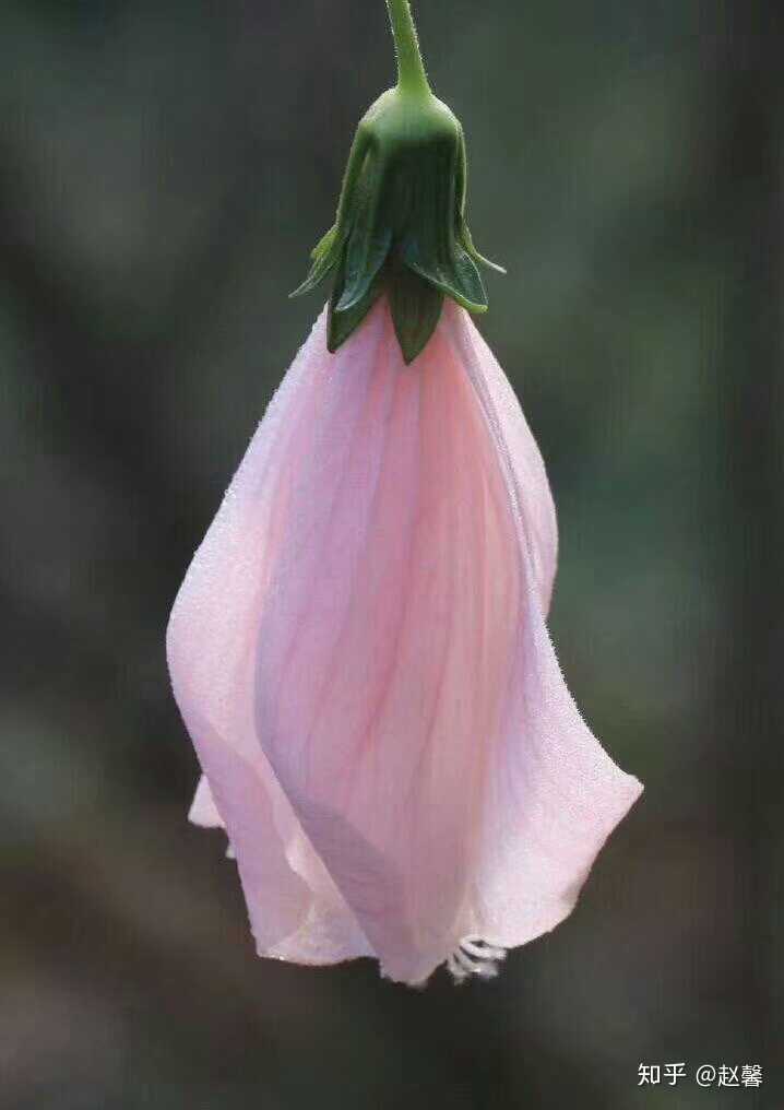 如何才能发现生活中的美?