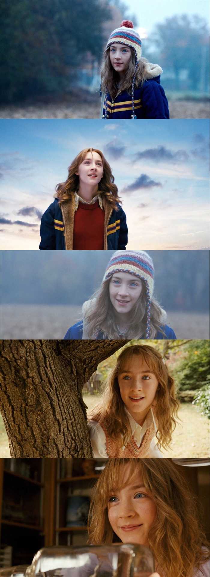 《可爱的骨头》西尔莎·罗南