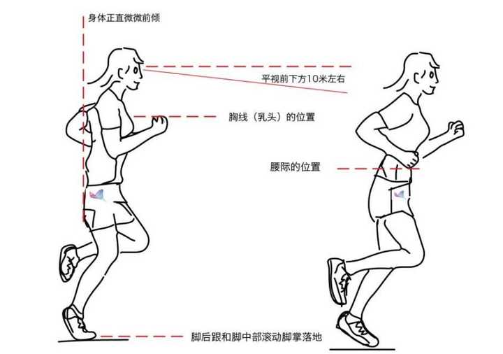 3,大腿积极前抬,小腿自然放松,依靠大腿的前摆动作,带动髋部向前上方