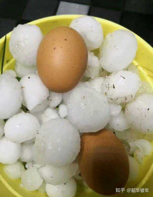 鸡蛋大小的冰雹