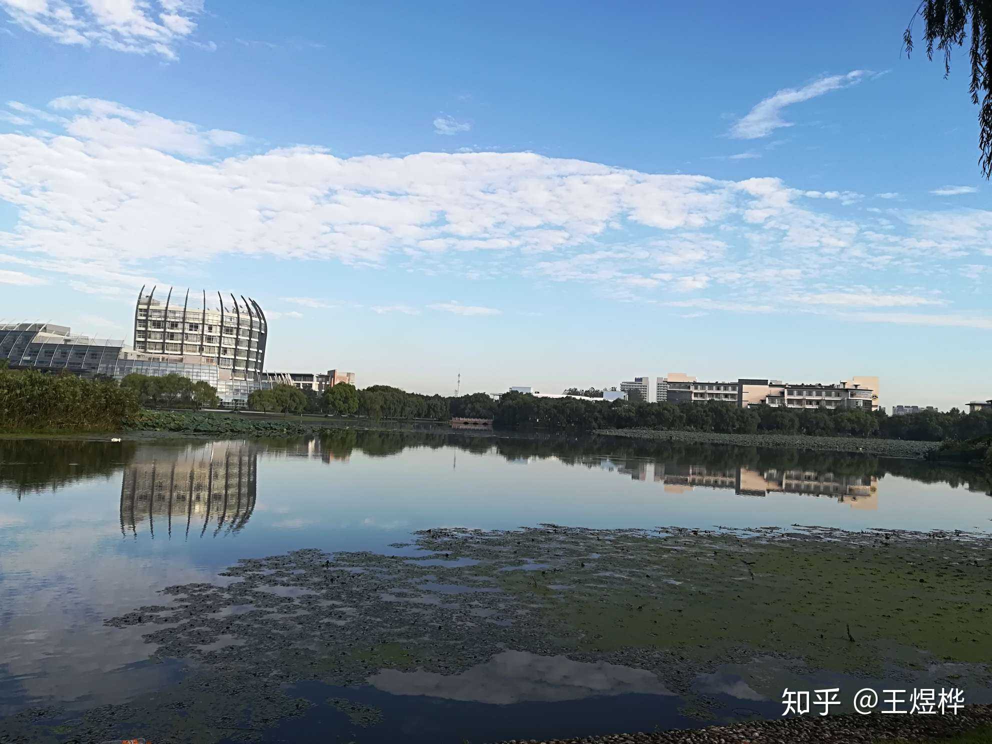 隨手拍校園的夏日# 鏡月湖畔的守候!