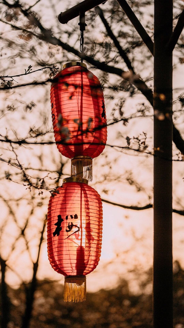 有哪些你觉得特别好看的壁纸头像 知乎