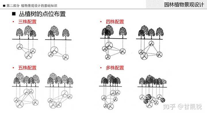 ③上機作圖實踐 學習:植物設計流程