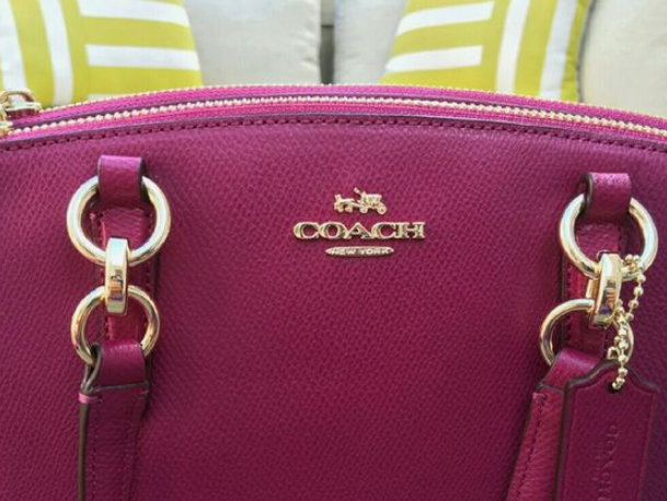 求各位大神帮我看一下coach parker?