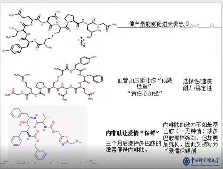 可否通过注射多巴胺,去甲肾上腺素,内啡肽等激素来维持恋爱激情?