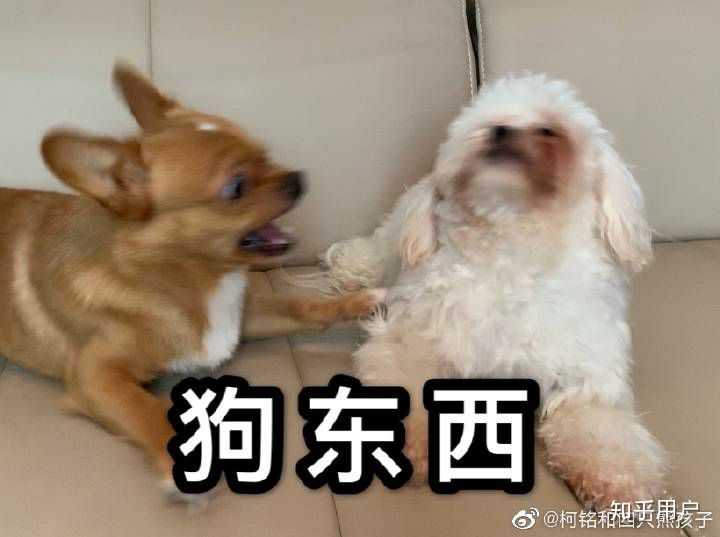 被别人取难听的外号是怎样的体验 知乎