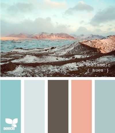 艺术来源于生活,在给设计和绘画上色前,我会准备一些色卡来参考配色