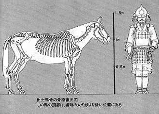 日本民族是不是东北亚骑马民族的后裔 知乎 日本民族是不是东北亚骑马民族的后裔 知乎