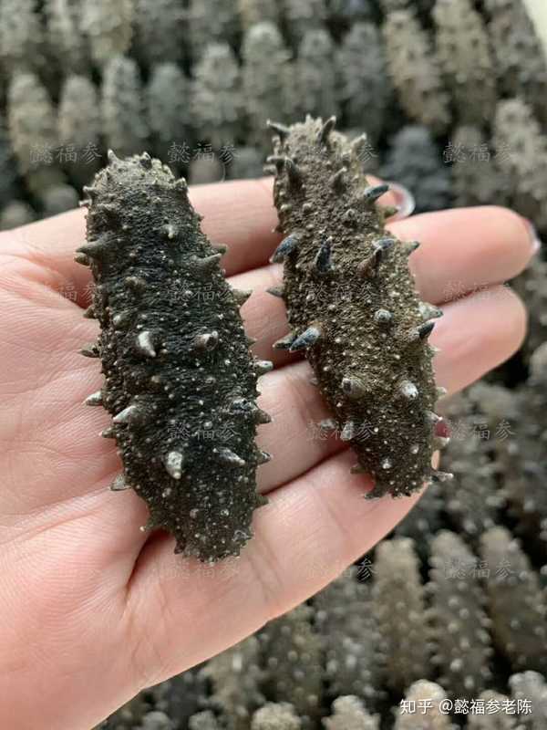 懿福参老陈: 这几天,许多商家都在搞活动,有些价格还特低,究竟哪些才