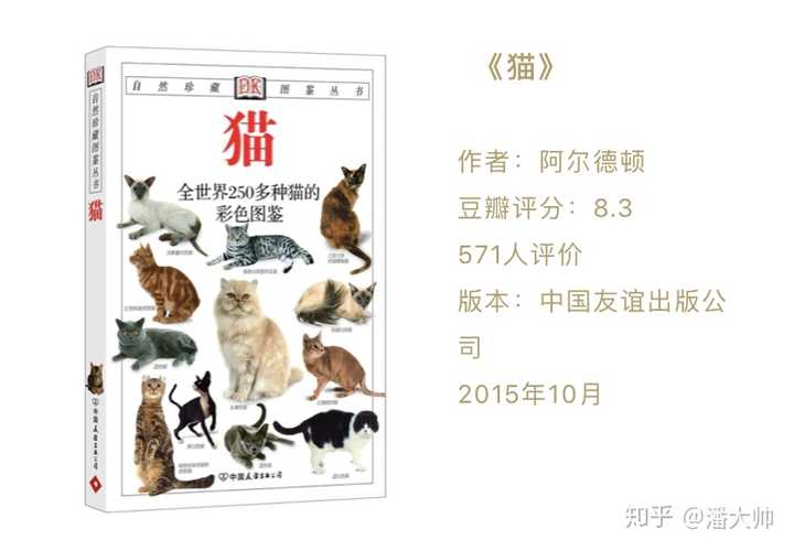 有哪些关于猫的好看的书 知乎