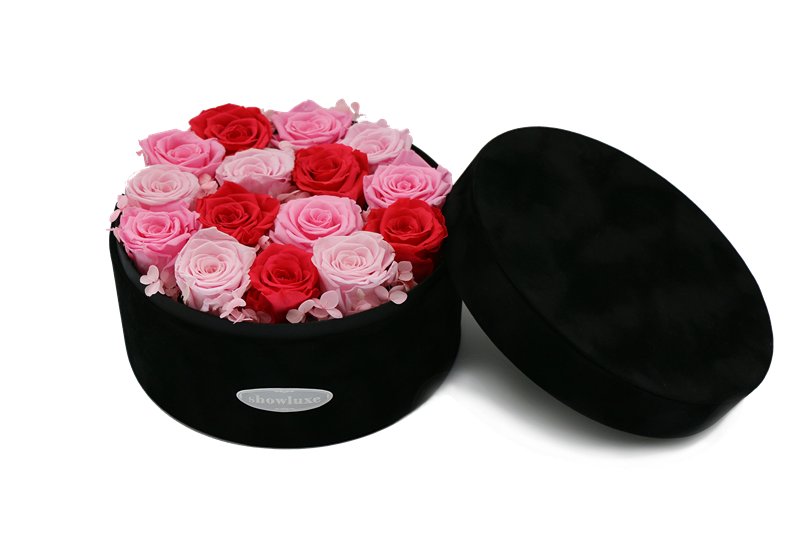 永生花的寓意是什么? - 爱就抱紧我的回答