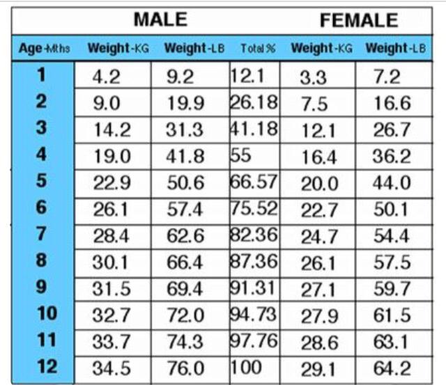 德牧幼犬每个月的成长体重比例是多少