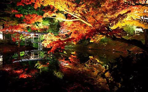 你最喜欢的日本城市是哪个? - 温暖的回答