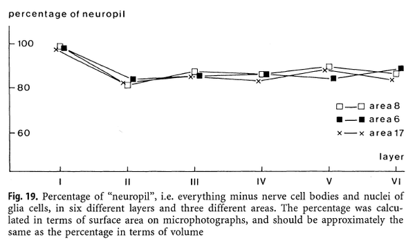 第六章 突触密度和神经元密度的对比 知乎