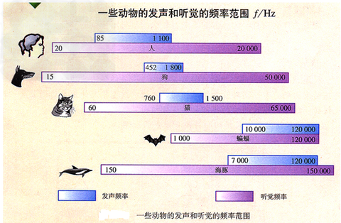图标