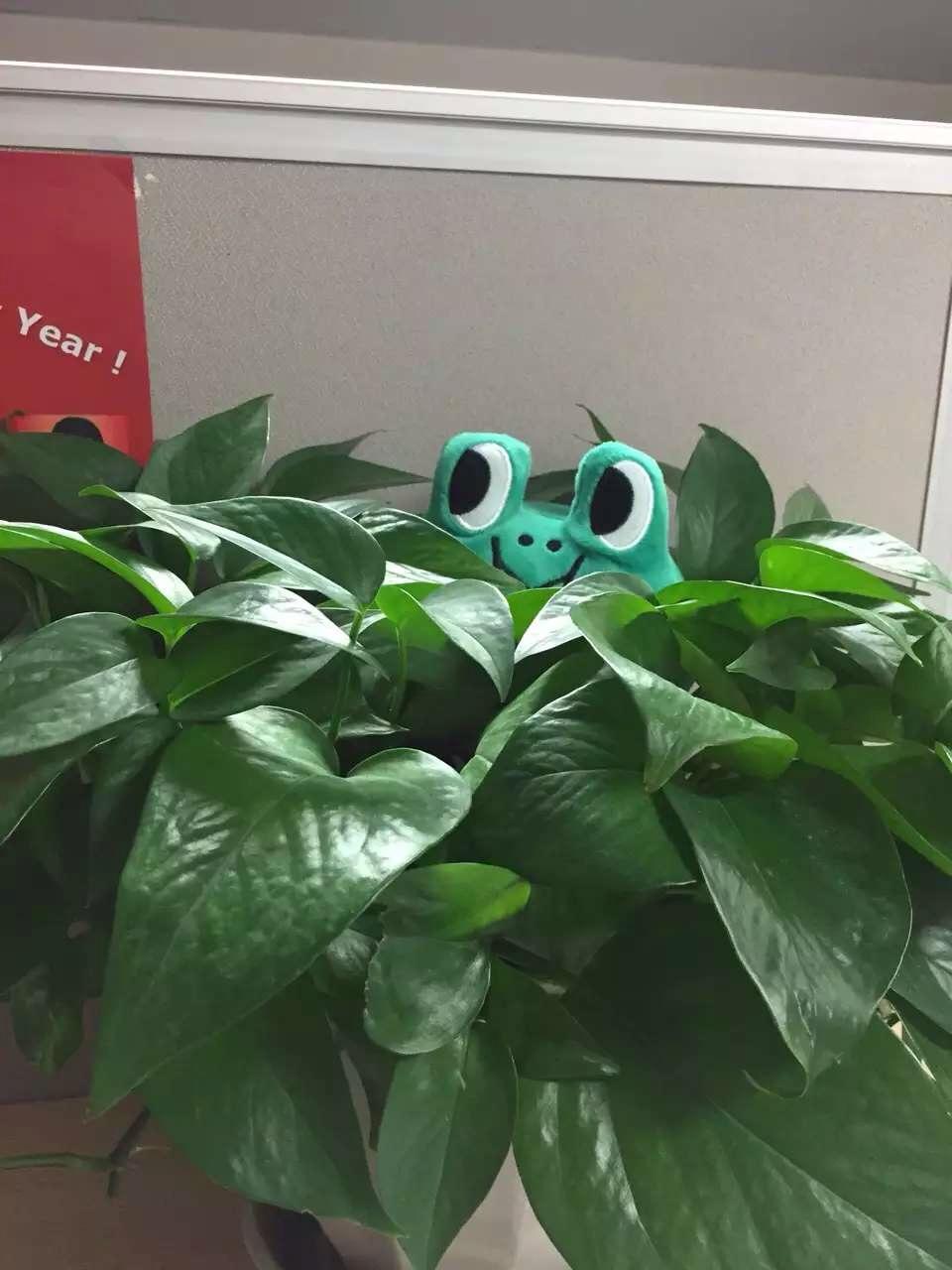 怎么看待英语学了十几年,最后一句口语都说不